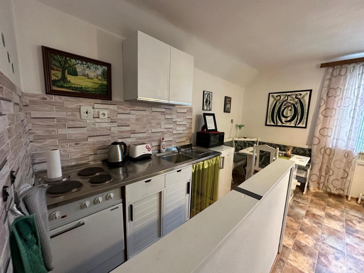 Apartmany Mk U Modre Kocky Нове-Гради Екстер'єр фото